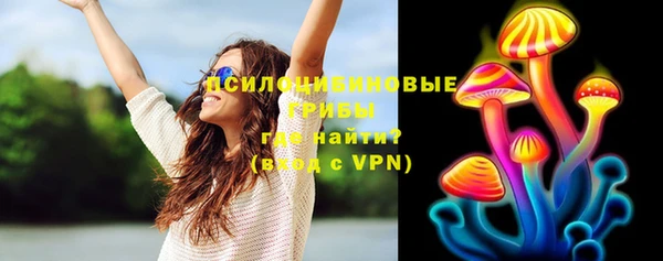 гашик Кукмор