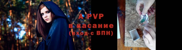 индика Красноперекопск