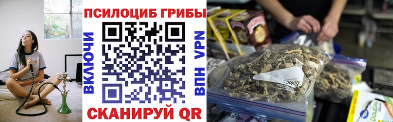купить   Минусинск  Галлюциногенные грибы MAGIC MUSHROOMS 