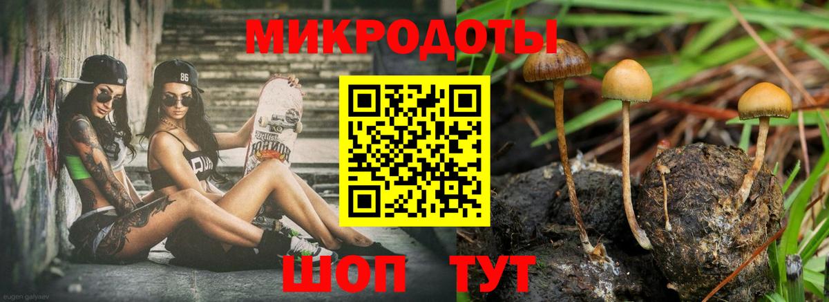 Псилоцибиновые грибы Psilocybine cubensis Минусинск